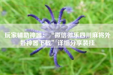 玩家辅助神器：“微信微乐四川麻将外卦神器下载”详细分享装挂