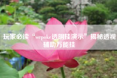 玩家必读“wepoke透明挂演示”揭秘透视辅助万能挂