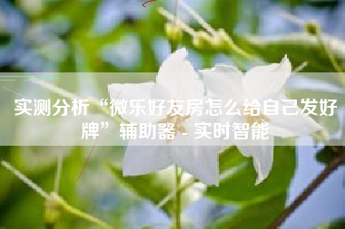 实测分析“微乐好友房怎么给自己发好牌”辅助器 - 实时智能