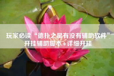 玩家必读“德扑之星有没有辅助软件”开挂辅助脚本+详细开挂