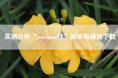 实测分析“pokemon挂	”原来有神器下载