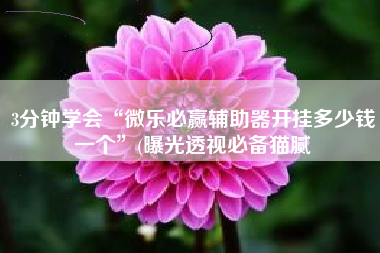 3分钟学会“微乐必赢辅助器开挂多少钱一个	”(曝光透视必备猫腻