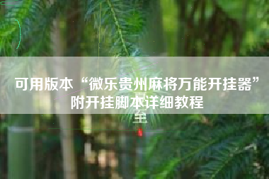 可用版本“微乐贵州麻将万能开挂器”附开挂脚本详细教程