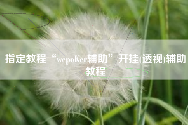 指定教程“wepoKer辅助	”开挂(透视)辅助教程