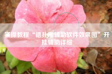 实操教程“德扑圈辅助软件效果图	”开挂辅助详细