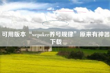 可用版本“wepoker养号规律	”原来有神器下载