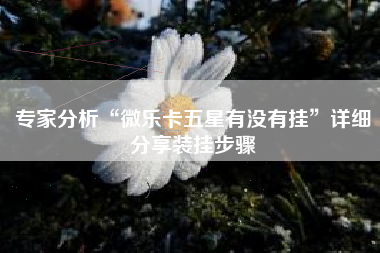 专家分析“微乐卡五星有没有挂”详细分享装挂步骤