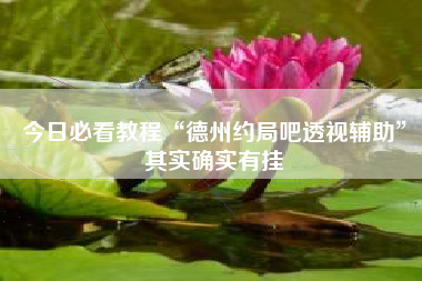 今日必看教程“德州约局吧透视辅助”其实确实有挂