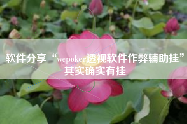 软件分享“wepoker透视软件作弊辅助挂	”其实确实有挂