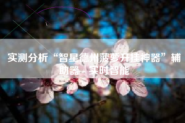 实测分析“智星德州菠萝开挂神器”辅助器 - 实时智能