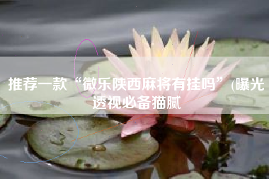 推荐一款“微乐陕西麻将有挂吗	”(曝光透视必备猫腻