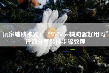 玩家辅助神器：“WePoker辅助器好用吗”详细分享装挂步骤教程