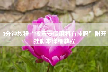 3分钟教程“微乐安徽麻将有挂吗	”附开挂脚本详细教程