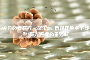 今日必看教程“微乐2025透视挂免费下载”(曝光透视必备猫腻