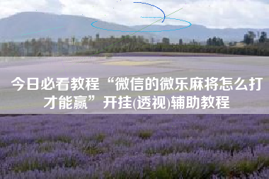 今日必看教程“微信的微乐麻将怎么打才能赢	”开挂(透视)辅助教程