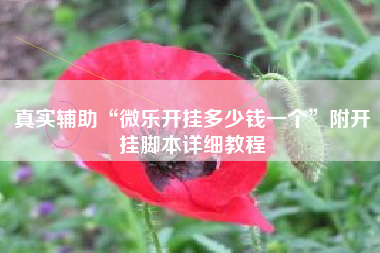 真实辅助“微乐开挂多少钱一个	”附开挂脚本详细教程