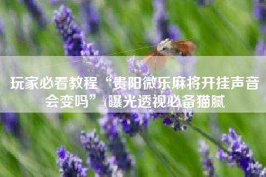 玩家必看教程“贵阳微乐麻将开挂声音会变吗	”(曝光透视必备猫腻