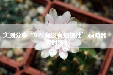 实测分享“WPK有没有透视挂”辅助器 - 实时智能