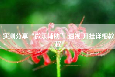 实测分享“微乐辅助”(透视)开挂详细教程