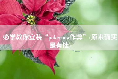 必学教你安装“pokernow作弊	”(原来确实是有挂)
