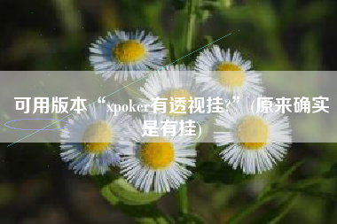 可用版本“xpoker有透视挂?”(原来确实是有挂)
