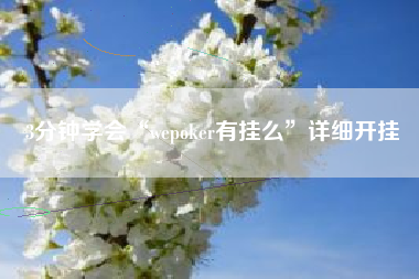 3分钟学会“wepoker有挂么	”详细开挂