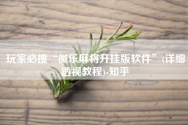 玩家必搜“微乐麻将开挂版软件	”(详细透视教程)-知乎