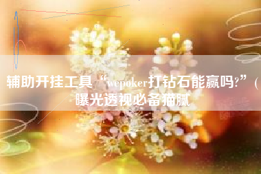 辅助开挂工具“wepoker打钻石能赢吗?	”(曝光透视必备猫腻