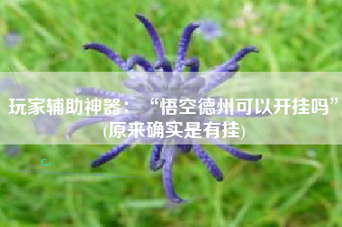 玩家辅助神器：“悟空德州可以开挂吗”(原来确实是有挂)