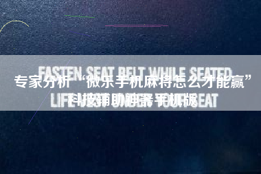 专家分析“微乐手机麻将怎么才能赢”科技辅助神器手机版