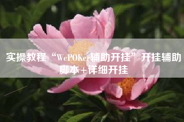 实操教程“WePOKer辅助开挂	”开挂辅助脚本+详细开挂