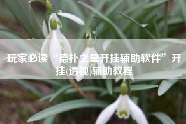 玩家必读“德扑之星开挂辅助软件”开挂(透视)辅助教程