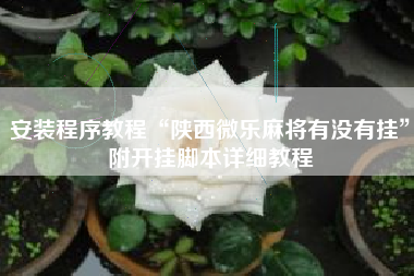 安装程序教程“陕西微乐麻将有没有挂”附开挂脚本详细教程