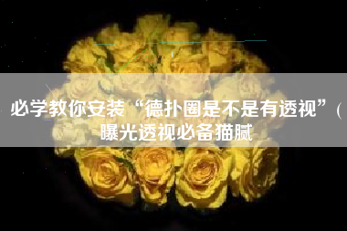 必学教你安装“德扑圈是不是有透视”(曝光透视必备猫腻