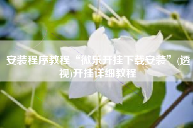 安装程序教程“微乐开挂下载安装”(透视)开挂详细教程