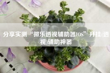 分享实测“微乐透视辅助器IOS”开挂(透视)辅助神器