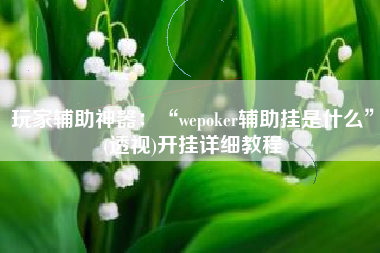 玩家辅助神器：“wepoker辅助挂是什么”(透视)开挂详细教程