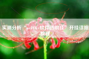 实测分析“wePOke软件透明挂”开挂详细教程
