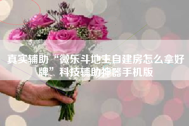 真实辅助“微乐斗地主自建房怎么拿好牌”科技辅助神器手机版