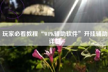 玩家必看教程“WPK辅助软件	”开挂辅助详细