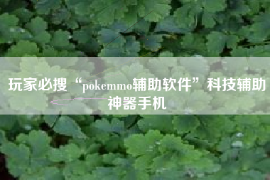 玩家必搜“pokemmo辅助软件”科技辅助神器手机