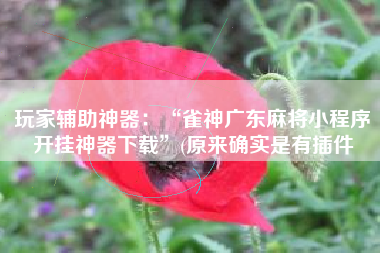 玩家辅助神器：“雀神广东麻将小程序开挂神器下载	”(原来确实是有插件