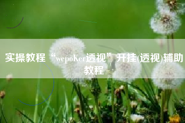 实操教程“wepoKer透视”开挂(透视)辅助教程