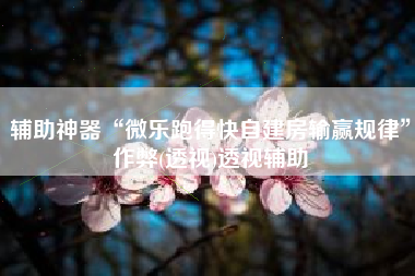 辅助神器“微乐跑得快自建房输赢规律	”作弊(透视)透视辅助