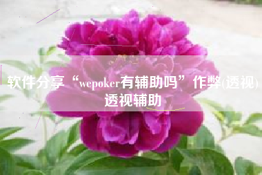 软件分享“wepoker有辅助吗”作弊(透视)透视辅助