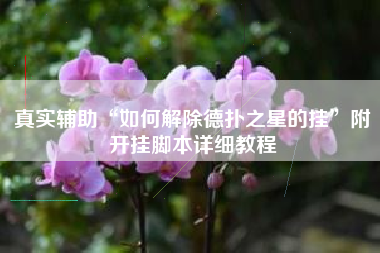 真实辅助“如何解除德扑之星的挂”附开挂脚本详细教程