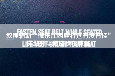 教程辅助“微乐江西麻将过有没有挂	”详细分享装挂步骤教程