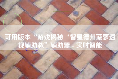 可用版本“游戏揭秘‘智星德州菠萝透视辅助教”辅助器 - 实时智能