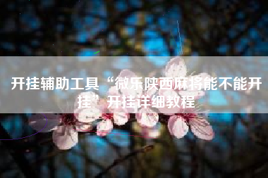 开挂辅助工具“微乐陕西麻将能不能开挂”开挂详细教程