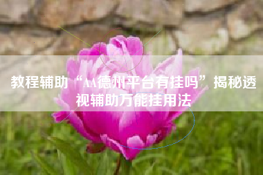 教程辅助“AA德州平台有挂吗”揭秘透视辅助万能挂用法